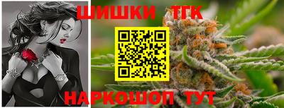 крисы Шахты