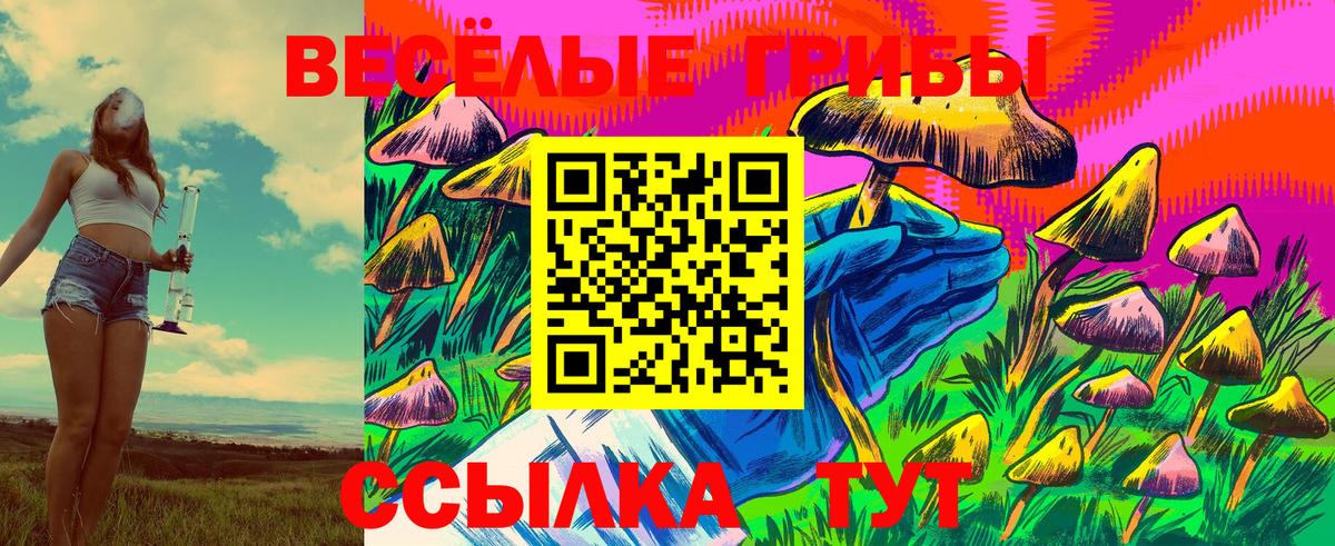 Кушва  где купить   Вход с VPN  Галлюциногенные грибы мухоморы 